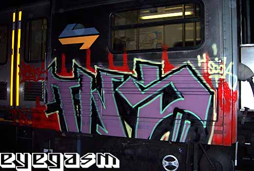 tns001.jpg