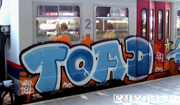 toad002.jpg