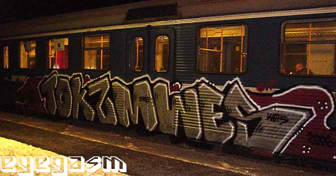 tokzmwes01.jpg