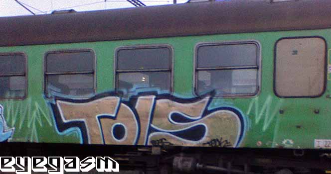 tols01.jpg