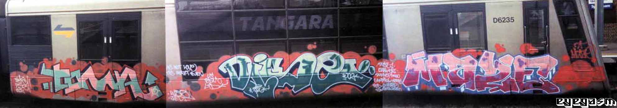 toma-dise-maze01.jpg