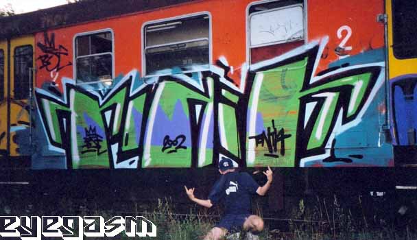 tonik01.jpg