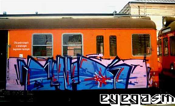 tonik04.jpg