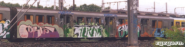 toronto-turn-shok-smole01.jpg