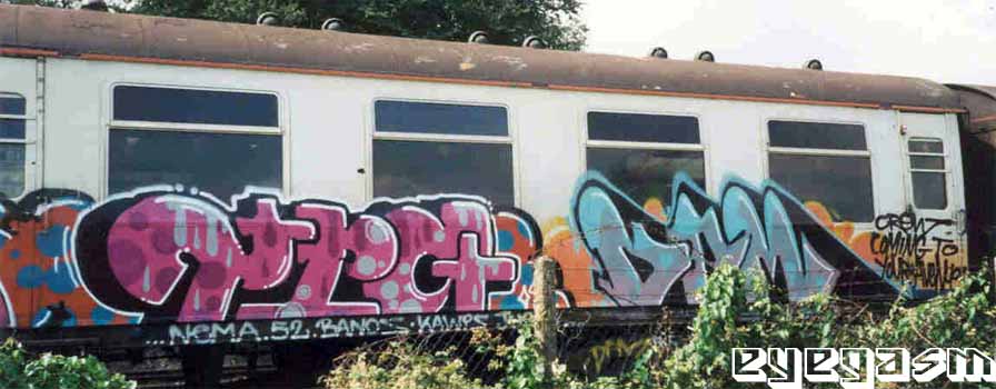tpg-dpm01.jpg