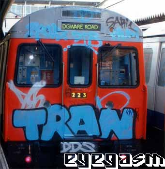 tran01.jpg