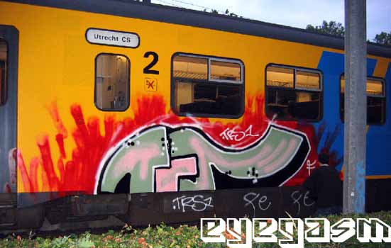 trs002.jpg