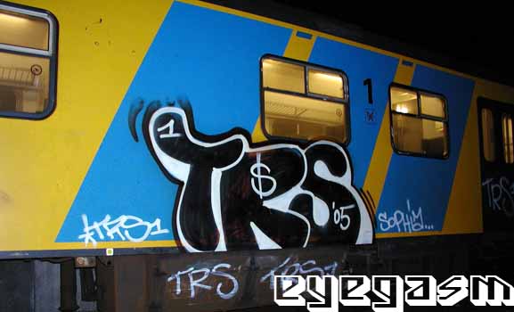 trs003.jpg