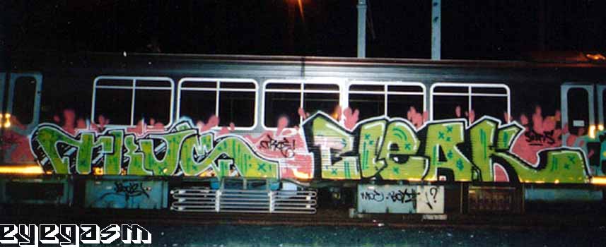 true-bleak01.jpg