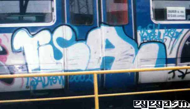 tsa01.jpg