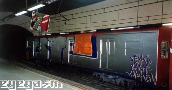 tste-wc02.jpg