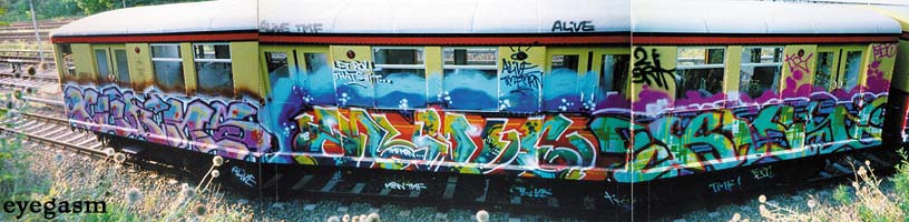 turns-alive-koy01.jpg