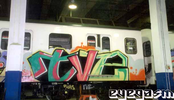 tve05.jpg