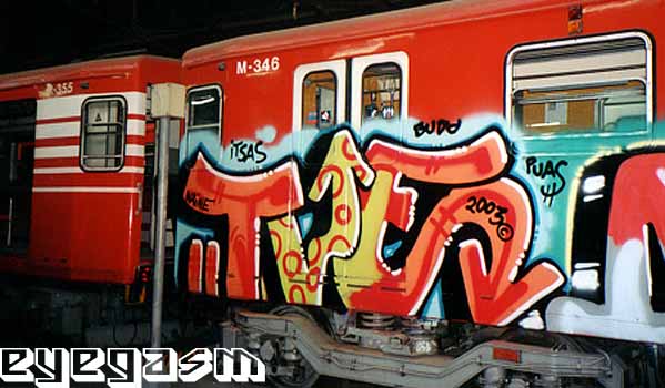 tve08.jpg