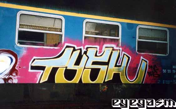 tysh01.jpg