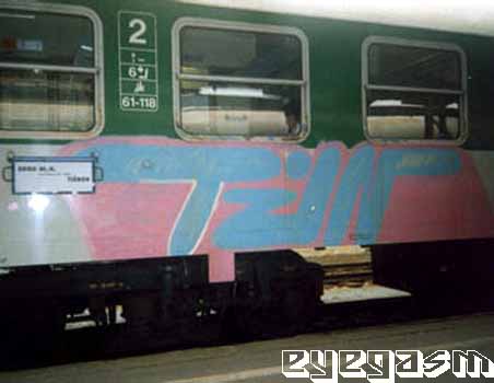 tzn01.jpg