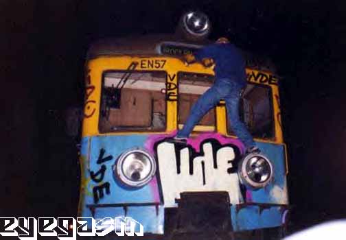 vde02.jpg