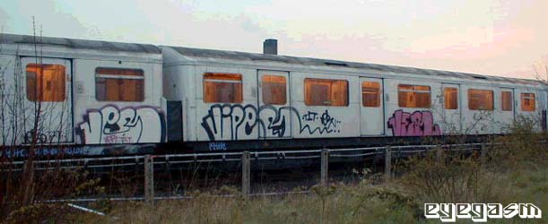 ver-viper-ver.jpg