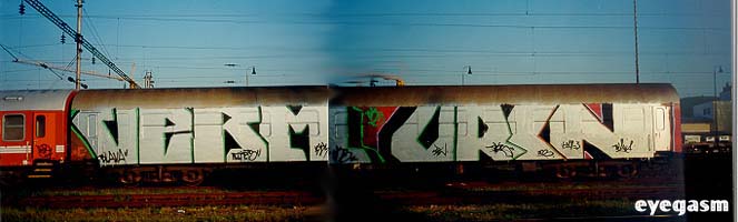 verm-orin-wc01.jpg