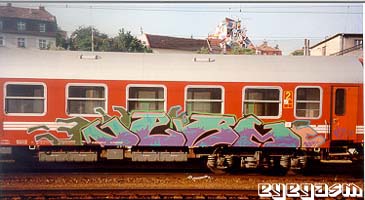 verm04.jpg