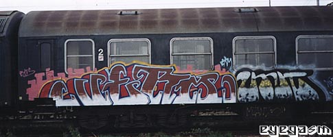 verm06.jpg