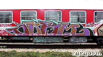 verm07.jpg