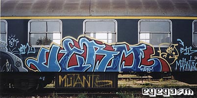 verm10.jpg