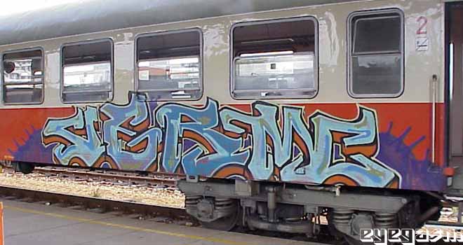 verm11.jpg