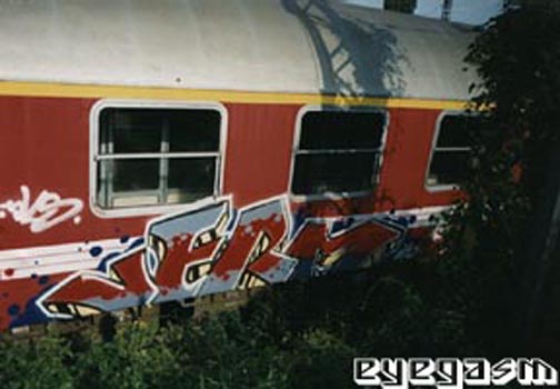 verm12.jpg