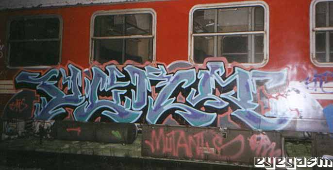 verm15.jpg