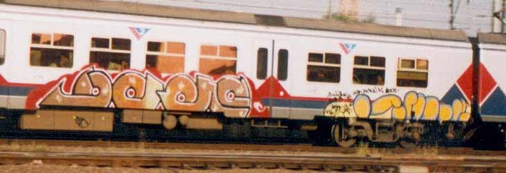 vero-sane01.jpg