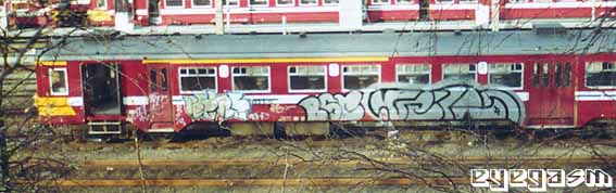 vero02.jpg