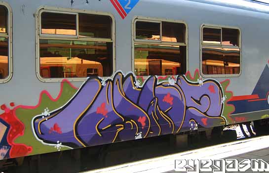 vero07.jpg
