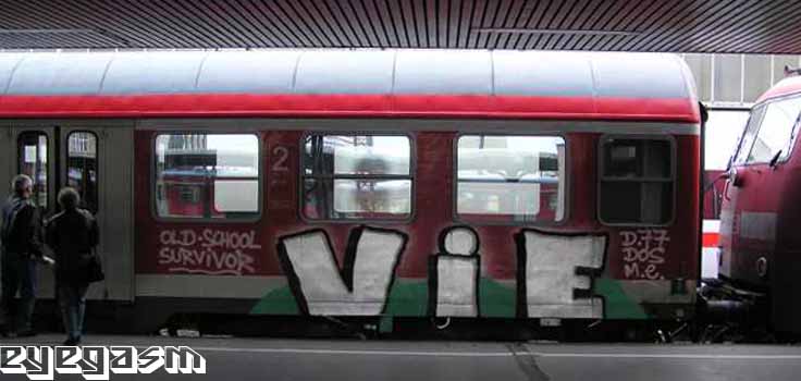 vie09.jpg