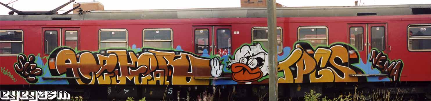 vimer-tpgs01.jpg