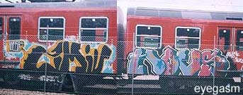 vims-hovs01.jpg
