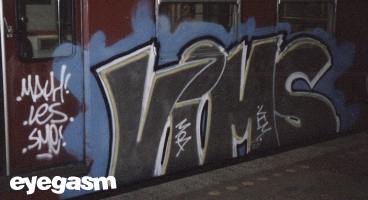 vims01.jpg