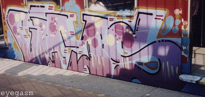 vims03.jpg
