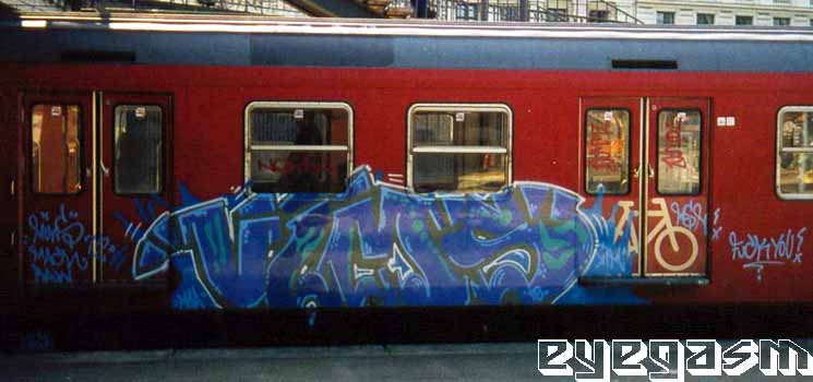 vims04.jpg