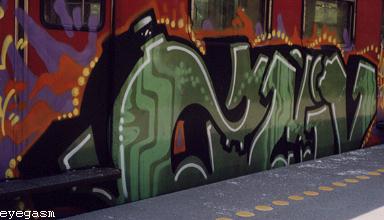 vims05.jpg