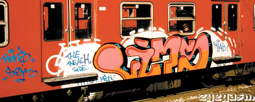 vims06.jpg