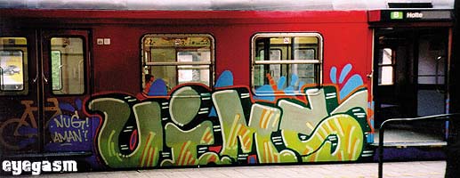 vims08.jpg