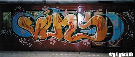 vims09.jpg