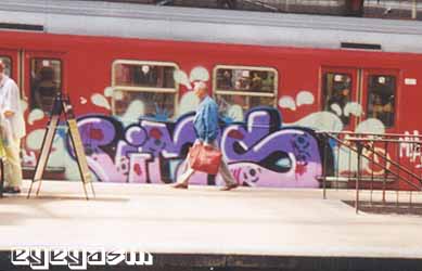 vims14.jpg