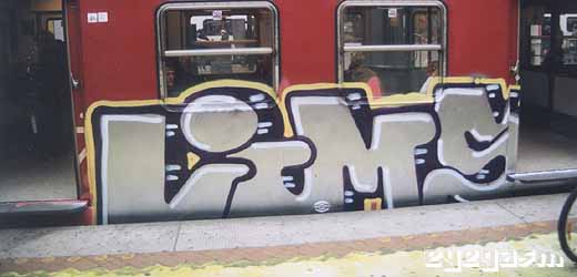 vims19.jpg