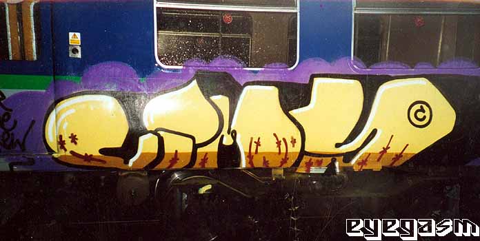 vims20.jpg