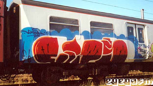 vims21.jpg