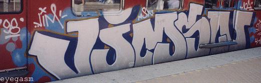 vimsn01.jpg