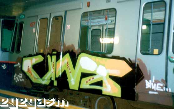 vino11.jpg