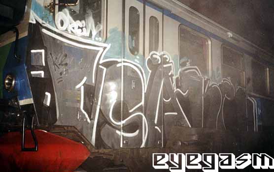 vsake01.jpg